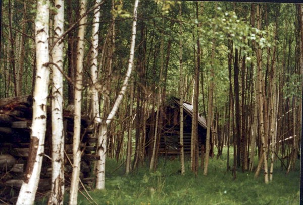 Восточные Саяны 1996_ заброшенный геопосёлок...Белая Речка